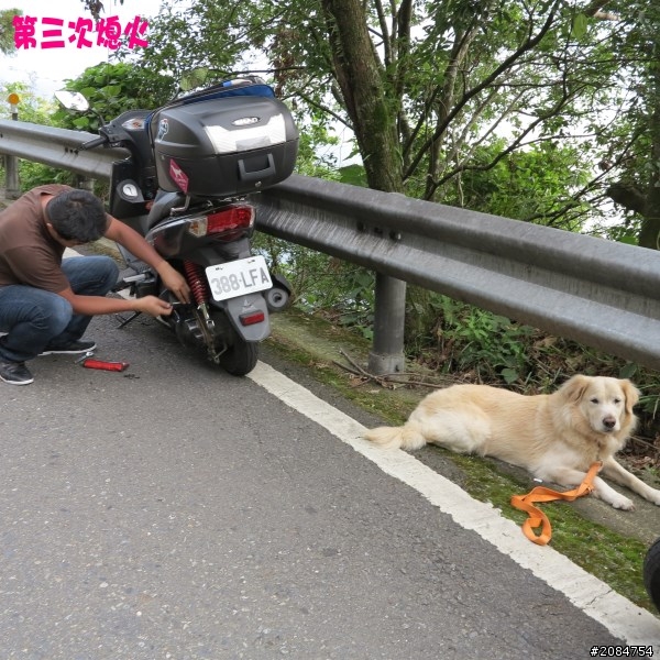 省道一姐小伙伴們，兩隻弱雞武領行、還有一隻大雞雞Ducati。