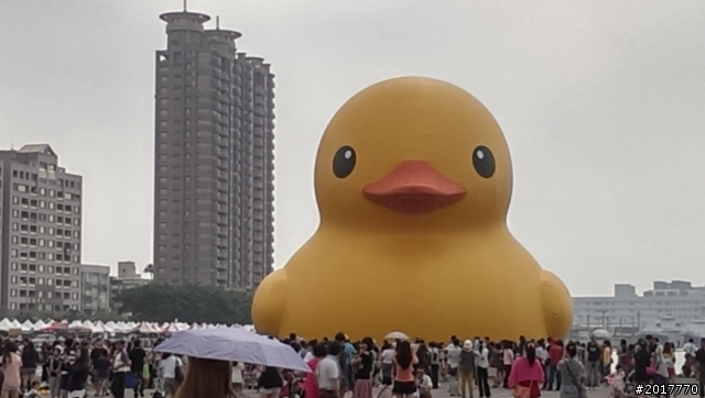 黑妞用HDR模式拍黃色小鴨...