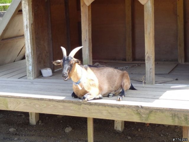 SONY DSC-QX10 拍照實景~蓋樓吧!