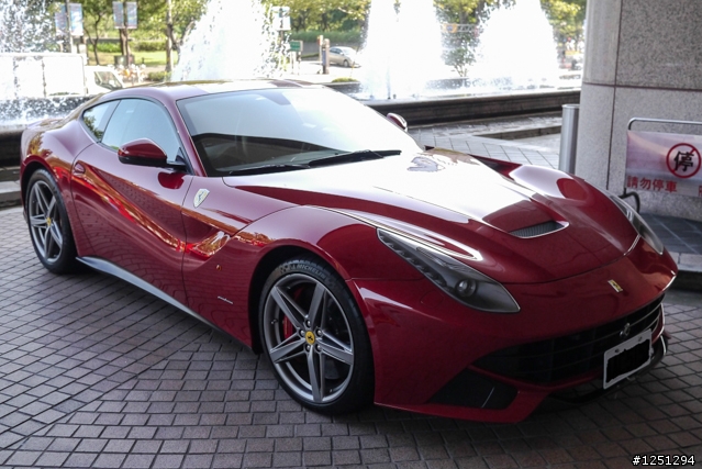 雙十國慶遇到好幾隻馬