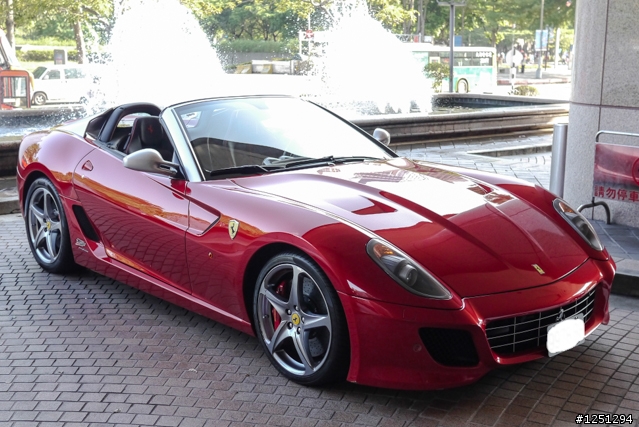 雙十國慶遇到好幾隻馬