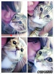 ♥寵物小日記分享♥☆Neko小妞成長小記事☆