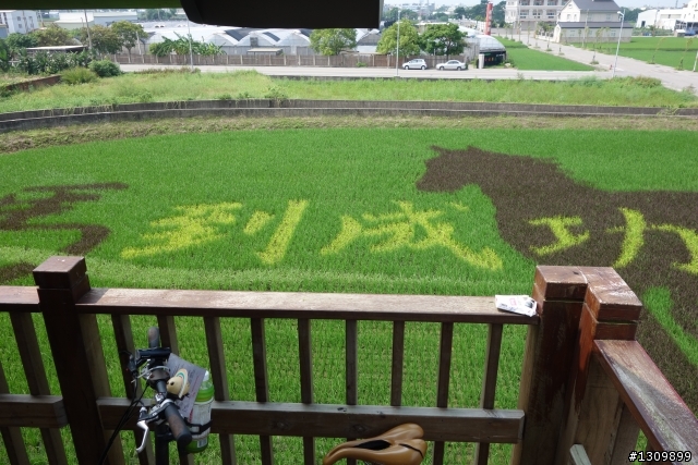 2013 苗栗苑裡 Life Bike 單車活動
