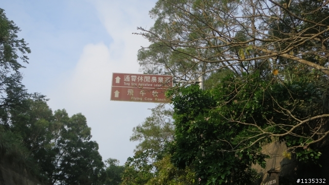 不落113變形版