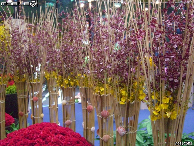 台北國際花卉展-花豔