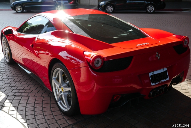 雙十國慶遇到好幾隻馬