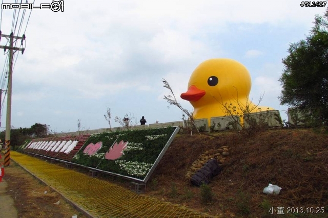 2013桃園地景藝術節 (黃色小鴨，點點，蓮花三個展場一次看完)