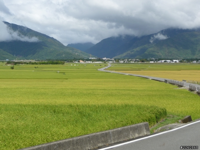 頂客250-伯郎大道+天堂路