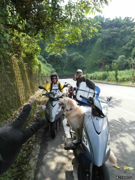 省道一姐小伙伴們，兩隻弱雞武領行、還有一隻大雞雞Ducati。