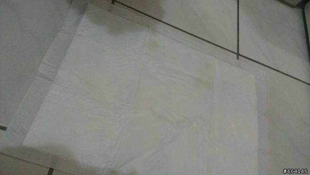消臭大師超吸收狗尿墊試用心得