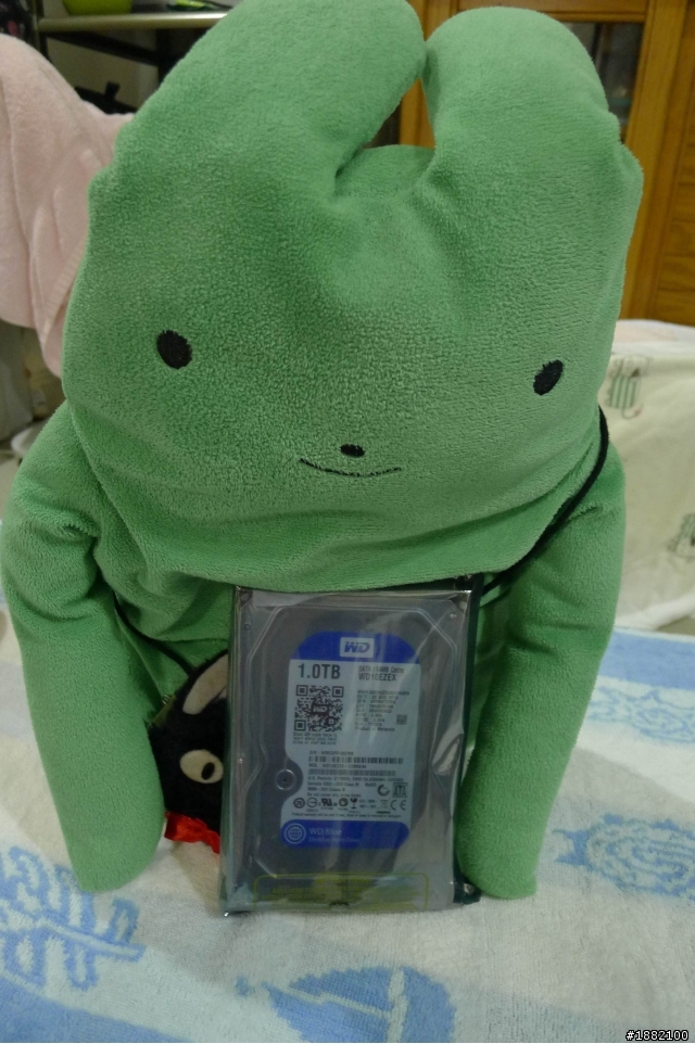 中醫小兔的接生實況--WD 藍標的誕生!!