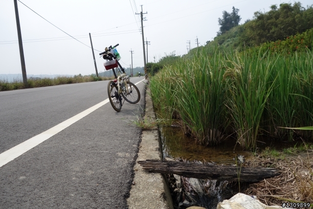 2013 苗栗苑裡 Life Bike 單車活動