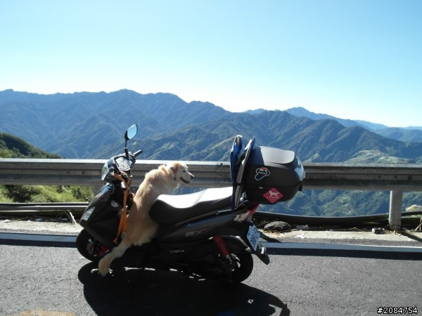 省道一姐小伙伴們，兩隻弱雞武領行、還有一隻大雞雞Ducati。