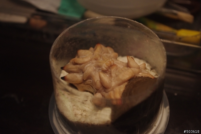 自製末世騎士2戒指 (圖多慎入.粗工請見諒)