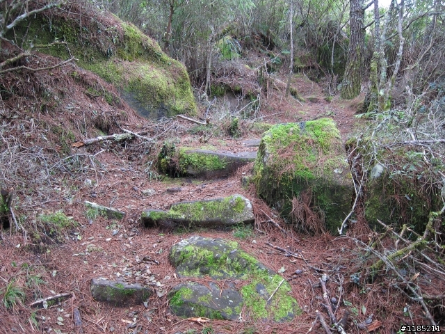 2013年初秋騎新中橫，登東埔山