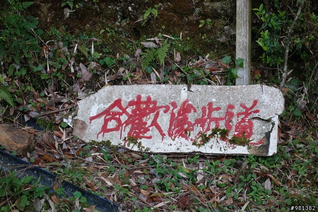 20130928 惡路上的天堂 (力行產業道路-合歡溪步道-武嶺)