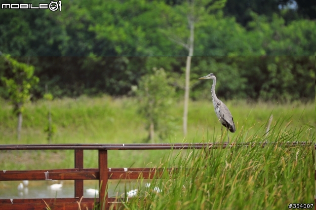 D700拍的照片出現這種情形
