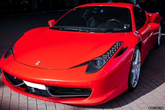 雙十國慶遇到好幾隻馬