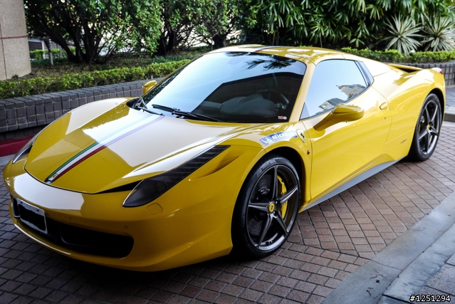 雙十國慶遇到好幾隻馬