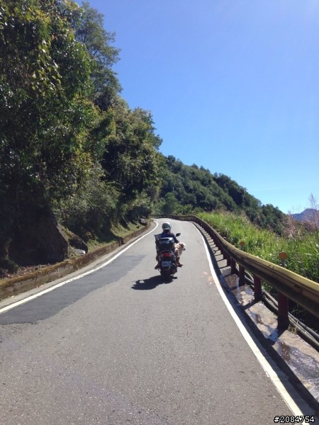 省道一姐小伙伴們，兩隻弱雞武領行、還有一隻大雞雞Ducati。