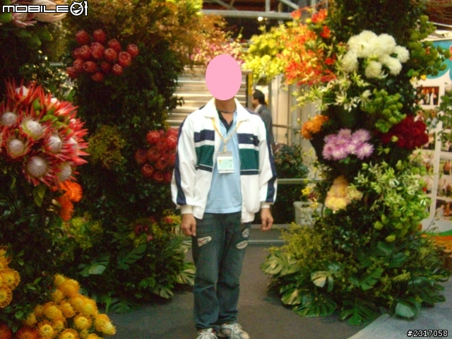 台北國際花卉展-花豔
