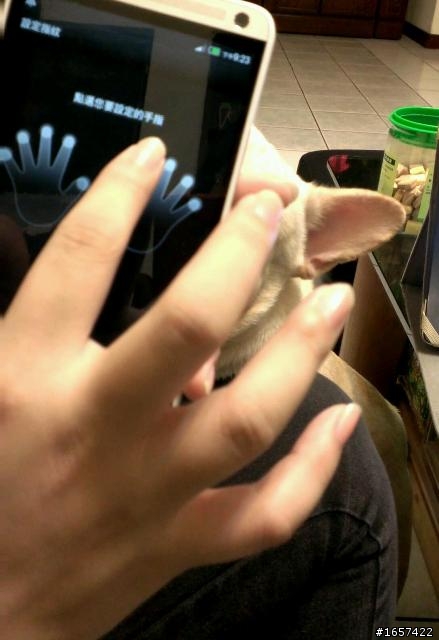 有大大試過用動物手掌來開啟max嗎?