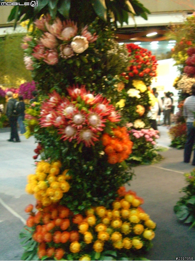 台北國際花卉展-花豔