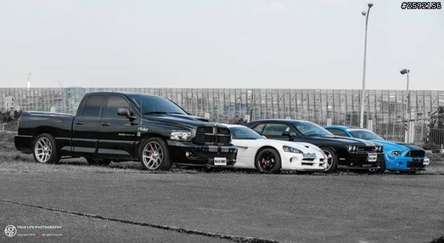 正牌上路! Shelby GT500 Challenger SRT8 392!!!
