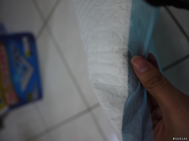 消臭大師超吸收狗尿墊試用心得