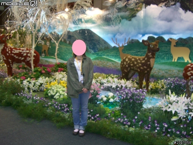 台北國際花卉展-花豔