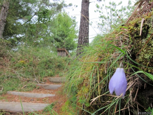 2013年初秋騎新中橫，登東埔山