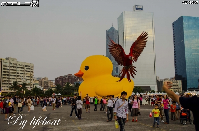 (黃色小鴨蓋大樓)Nikon的各位攝郎，大家一起加油吧~~不要輸C家的!!