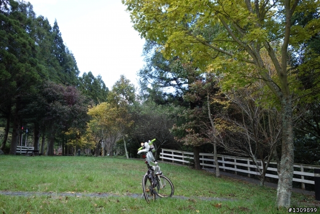 2013 北進武嶺，雙武爭鋒，