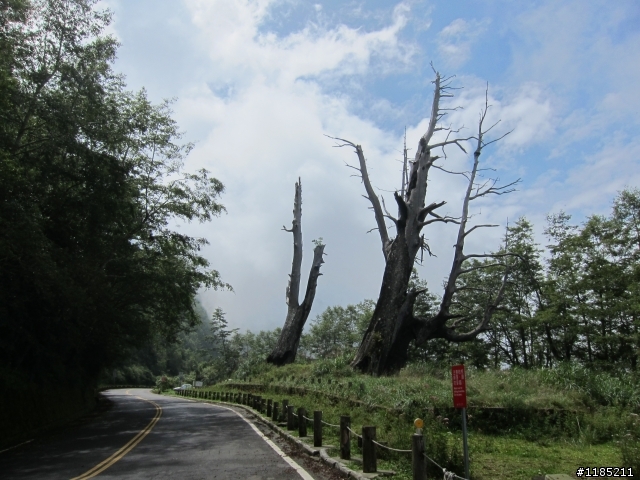 2013年初秋騎新中橫，登東埔山