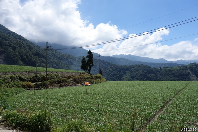 20130928 惡路上的天堂 (力行產業道路-合歡溪步道-武嶺)
