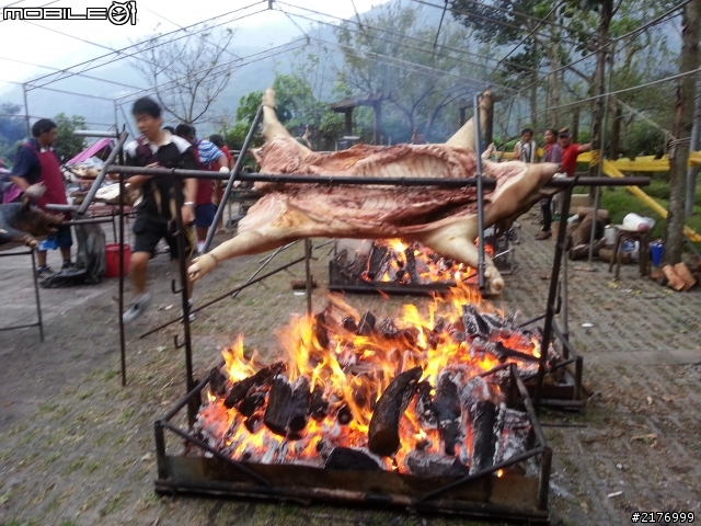 信義葡萄馬的烤山豬
