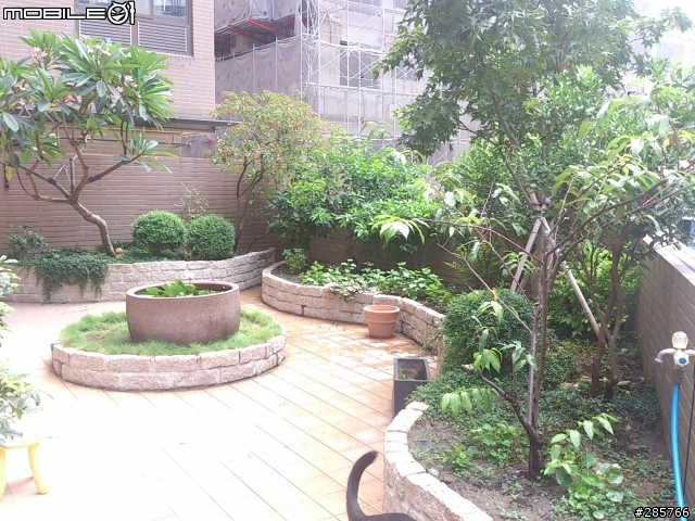 分享我家的露臺花園