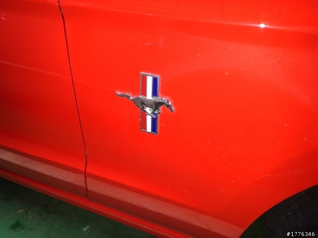 我的紅色Mustang