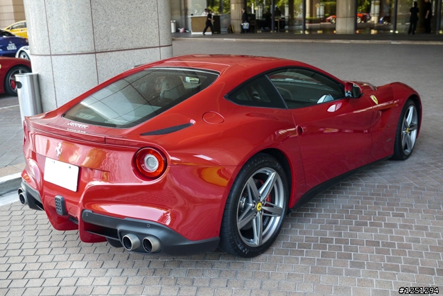 雙十國慶遇到好幾隻馬