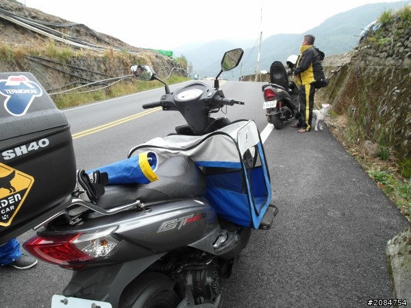 省道一姐小伙伴們，兩隻弱雞武領行、還有一隻大雞雞Ducati。