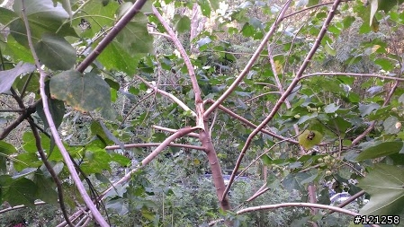 10/12 六號花園 秋天的風