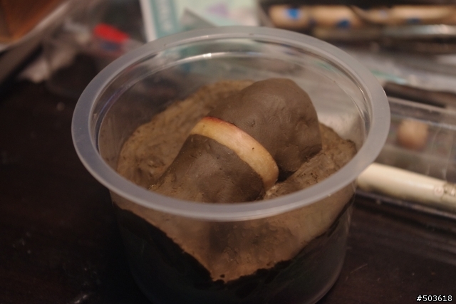 自製末世騎士2戒指 (圖多慎入.粗工請見諒)