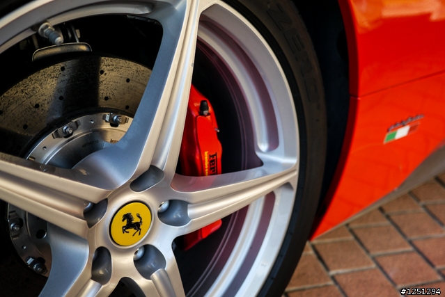 雙十國慶遇到好幾隻馬