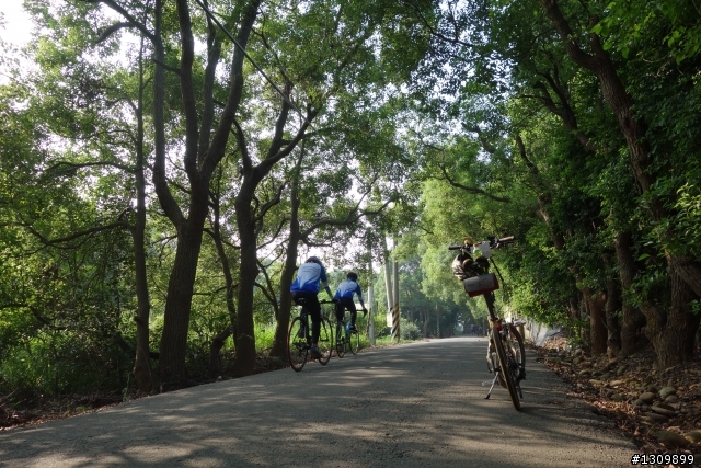 2013 苗栗苑裡 Life Bike 單車活動