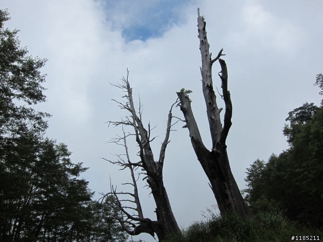 2013年初秋騎新中橫，登東埔山