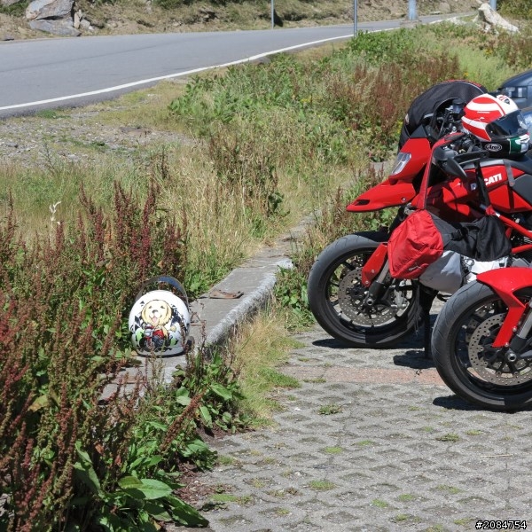 省道一姐小伙伴們，兩隻弱雞武領行、還有一隻大雞雞Ducati。