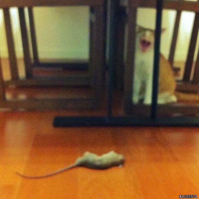 我要瘋了！！！