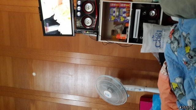 關於max拍照的問題，麻煩高手看一下。