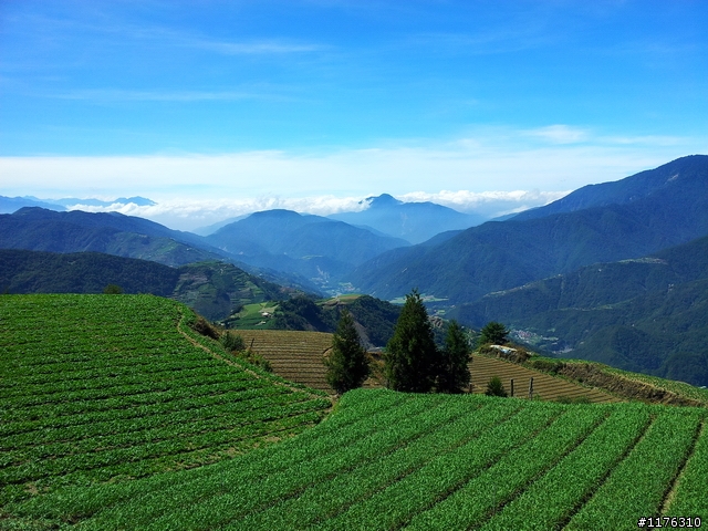 惡路挑戰—獨闖台灣最險惡山路--力行產業道路(匹亞南古道南段)