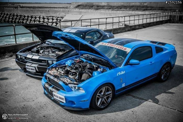 正牌上路! Shelby GT500 Challenger SRT8 392!!!